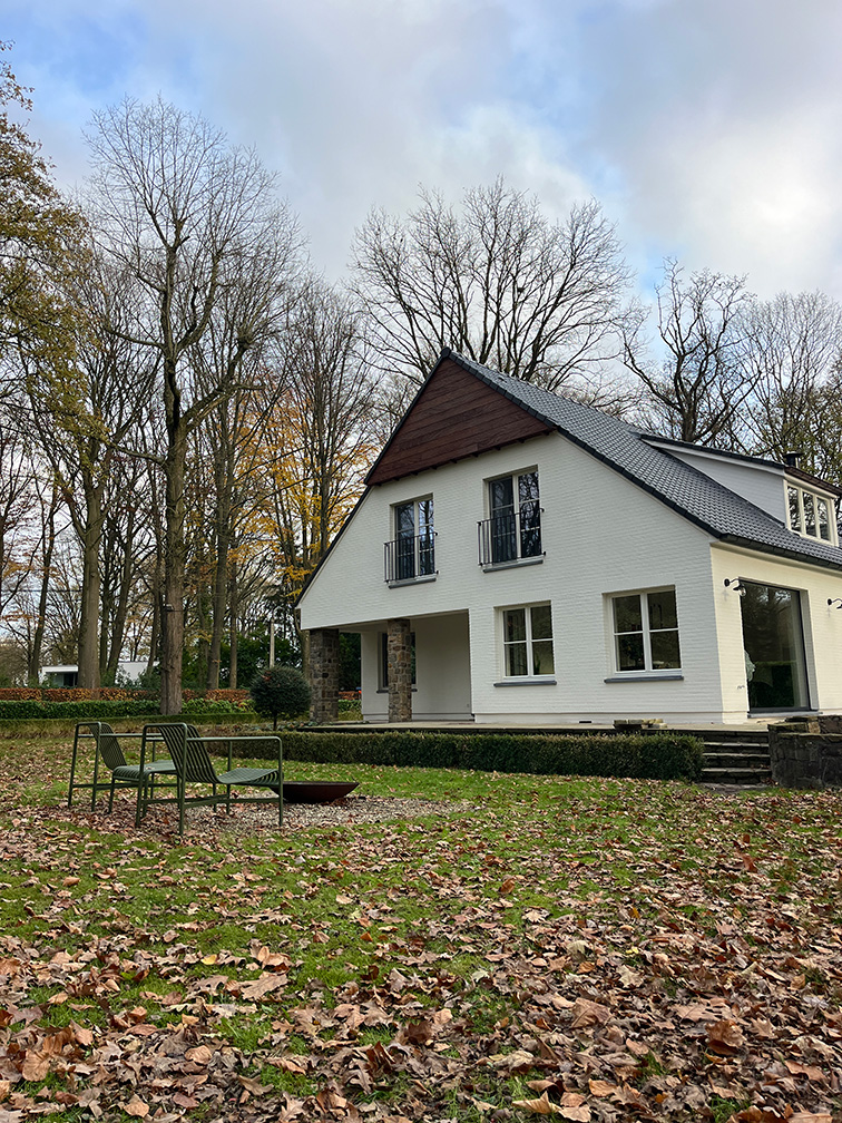 verouderde steenlook